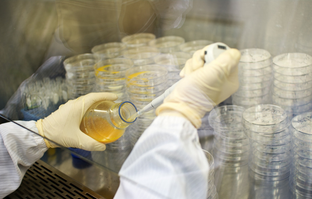 ca88手机客户端(安卓/苹果)CA88会员登录入口