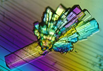 ca88手机客户端(安卓/苹果)CA88会员登录入口