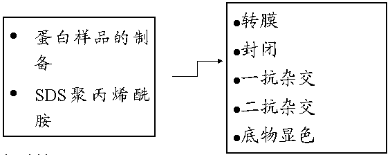 ca88手机客户端(安卓/苹果)CA88会员登录入口