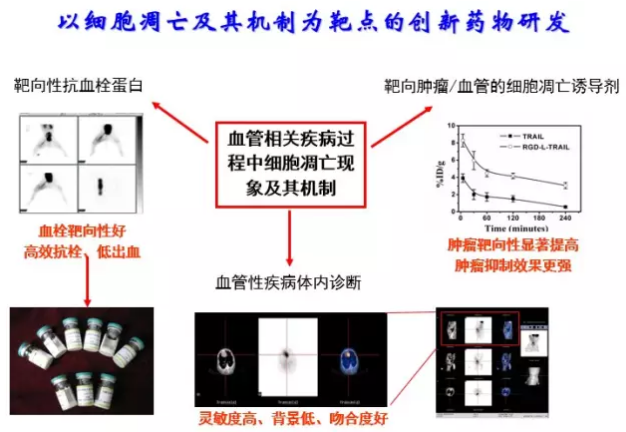 ca88手机客户端(安卓/苹果)CA88会员登录入口