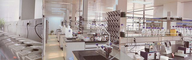 ca88手机客户端(安卓/苹果)CA88会员登录入口