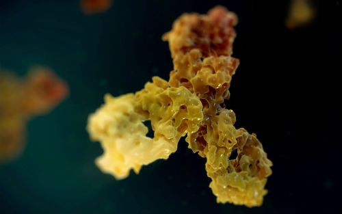 ca88手机客户端(安卓/苹果)CA88会员登录入口