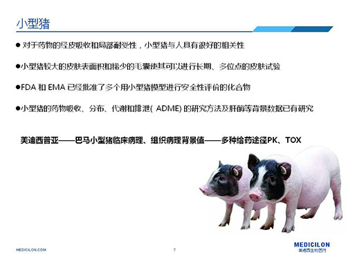 皮肤涂抹试验中，，受试动物选择小型猪更好