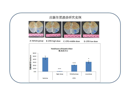 ca88手机客户端(安卓/苹果)CA88会员登录入口