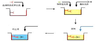 ca88手机客户端(安卓/苹果)CA88会员登录入口