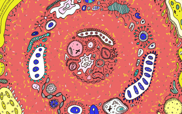 ca88手机客户端(安卓/苹果)CA88会员登录入口