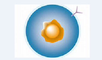 ca88手机客户端(安卓/苹果)CA88会员登录入口