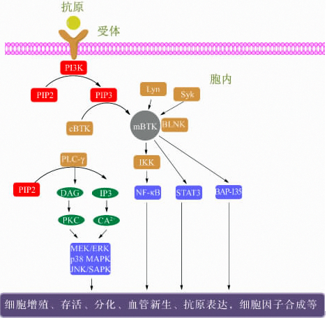 ca88手机客户端(安卓/苹果)CA88会员登录入口