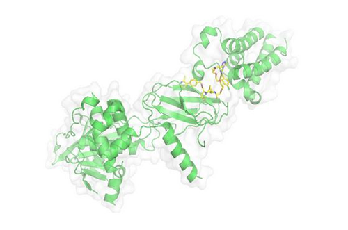 PROTAC手艺，，，，马兴泉