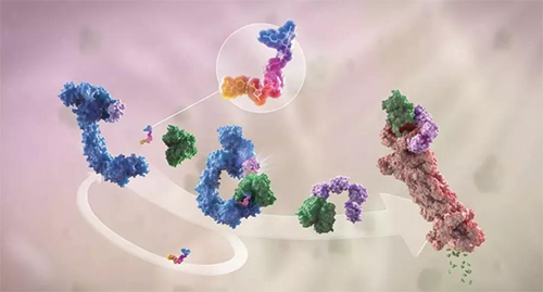 LYTAC出生，，与PROTAC并肩作战针对不可成药的靶点