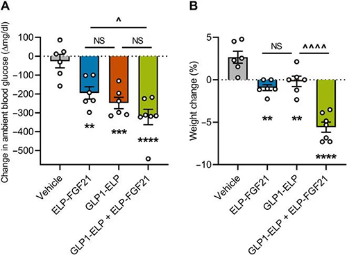 GLP-1和FGF21配合治疗增强了单药治疗的血糖降低和体重增添抑制作用 CA88