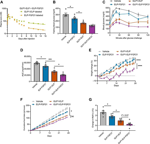 GLP1-ELP-FGF21双激动剂融合卵白对血糖和体重具有有用且持续的作用 CA88