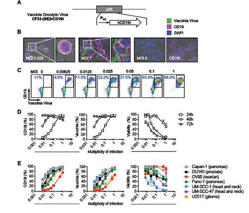 ca88手机客户端(安卓/苹果)CA88会员登录入口
