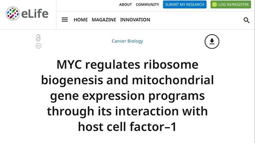 可以“融化”肿瘤的卵白质，，，，你一定没有听说过！