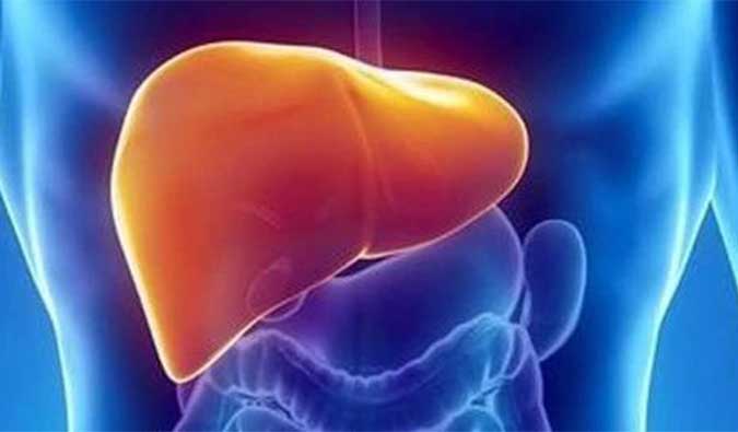 【CA88助力】NASH领域新希望！海普丁HPD001即将在美启动临床试验