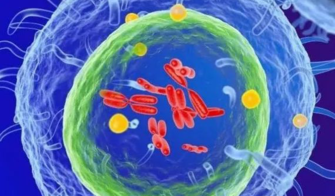  CA88助力 | 信诺维抗肿瘤1类新药XNW14010获批临床.png