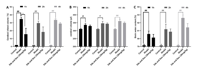 7-治疗时间窗考察-A：TTC；；；；B：脑体积，，C：脑含水量.jpg