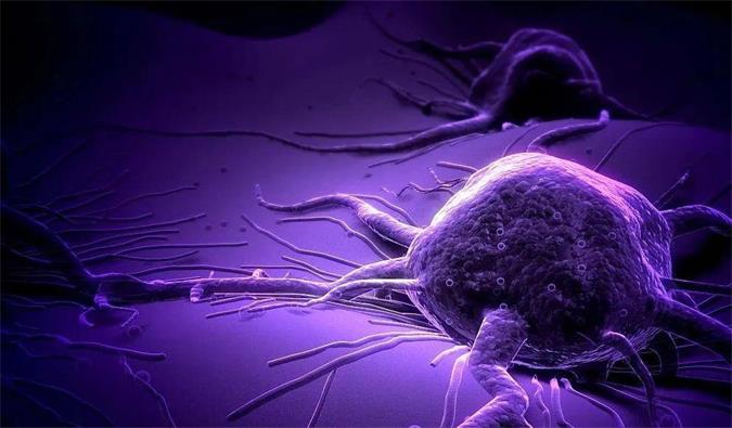 CA88助力轩竹生物研发的完全敲除岩藻糖的双抗ADC药物KM501获批临床