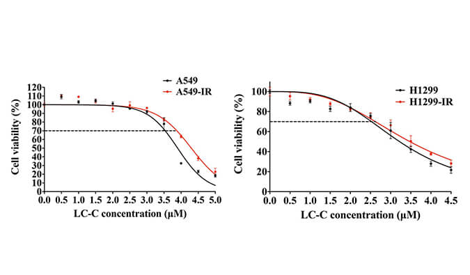 放射疗法用作肺癌的主要治疗要领，，，本研究中建设抗电离辐射肺癌细胞系的放射治疗通过CA88举行