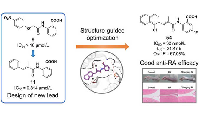 设计合成一系列DHODH抑制剂作为潜在的类风湿性枢纽炎治疗药物，，，，，，本研究中PK实验通过CA88举行