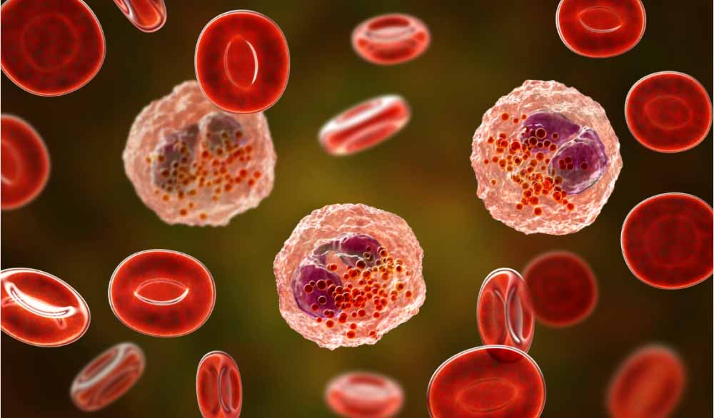 CA88助力 | 全球首创！宇耀生物STAT3双磷酸化抑制剂YY201获批临床.jpg