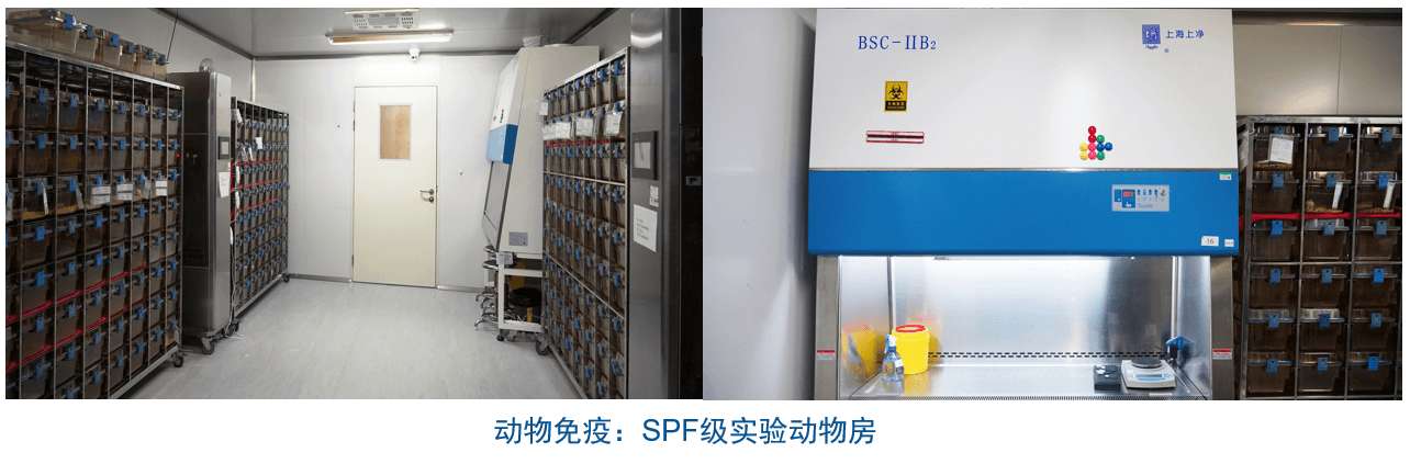 CA88杂交瘤手艺平台装备-动物免疫SPF级实验动物房