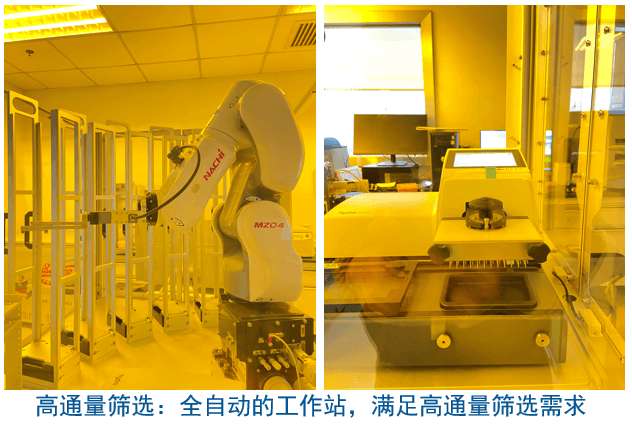 CA88杂交瘤手艺平台装备-高通量筛选