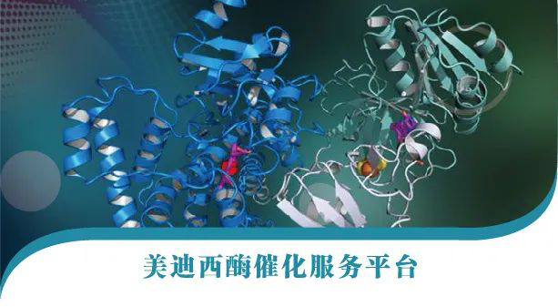 CA88酶催化服务平台.jpg