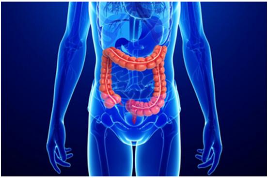 CA88一站式助力 | 宝太生物首其中美双报立异药获批