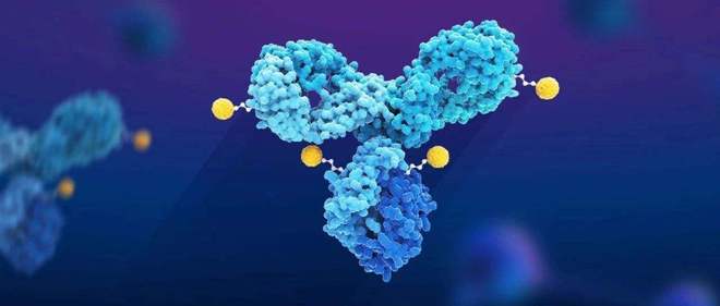 天下肿瘤日聚焦：AACR年会引领全球肿瘤新药趋势，，，，，国产药引领风潮