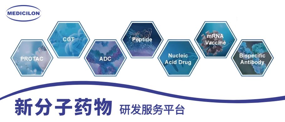 CA88新分子药物研发服务平台