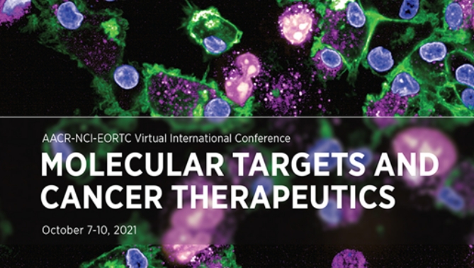 通过联合治疗提高免疫疗法疗效，，，本研究中临床前体内药效研究通过CA88举行